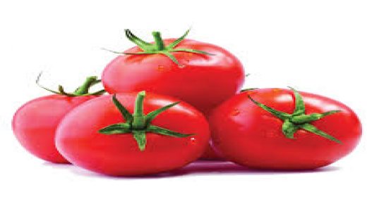 تشخيص حالات لمرض بنبتة الطماطم ببعض الضيعات .. و”أونسا” توضح