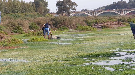 انتشال جثة شاب مجهول الهوية من وادي أم الربيع ضواحي مدينة ازمور