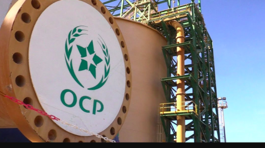 الجرف الأصفر OCP : أول منصة صناعية لإنتاج الأسمدة في العالم