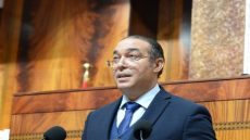 إلى فراقشي التزكيات : حين يفقد الخطاب السياسي عقله